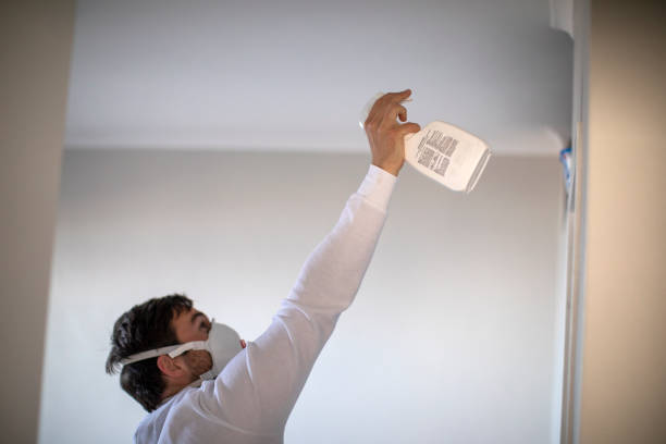 Best Mold Remediation Experts  in Heber Springs, AR