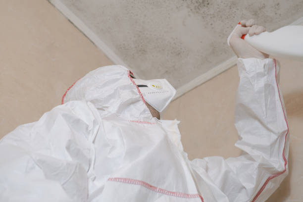 Best Mold Cleaning Services  in Heber Springs, AR