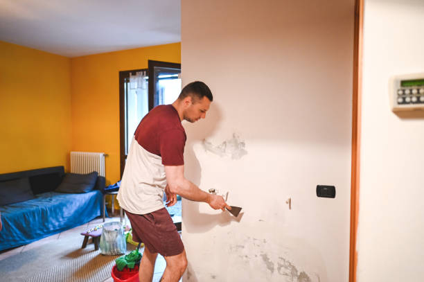 Best Mold Removal Near Me  in Heber Springs, AR